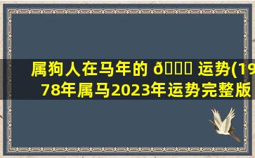 属狗人在马年的 🐟 运势(1978年属马2023年运势完整版)